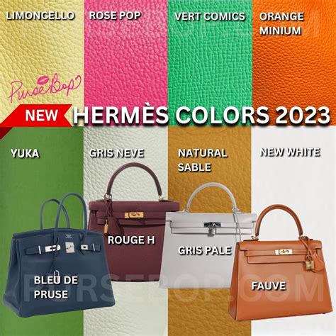 pictures of hermes|Hermes handbags color chart.